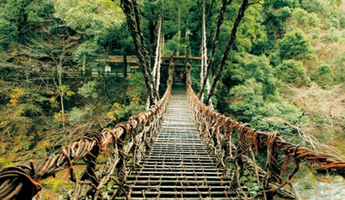 /material-alias/theme/japan/artimg/京阪神四國/祖谷 葛藤橋.jpg